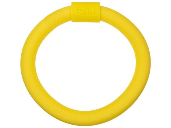 Pool Noodle Ring - Aquachem